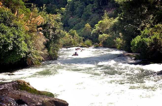 Sledging Whitewater